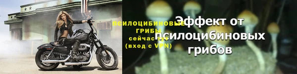 прущая мука Верея