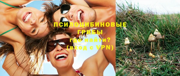 марки lsd Богданович