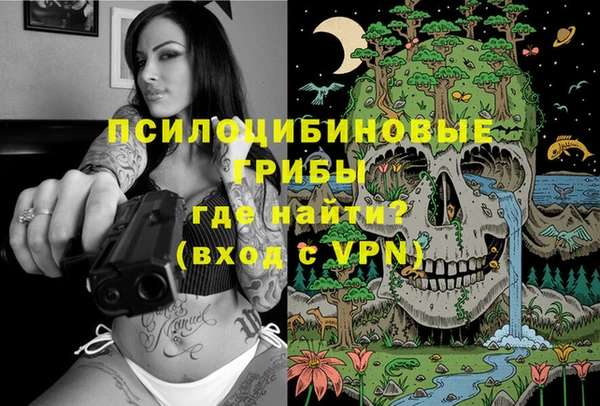 марки lsd Богданович