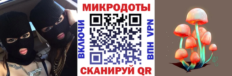 Галлюциногенные грибы Psilocybe Калачинск